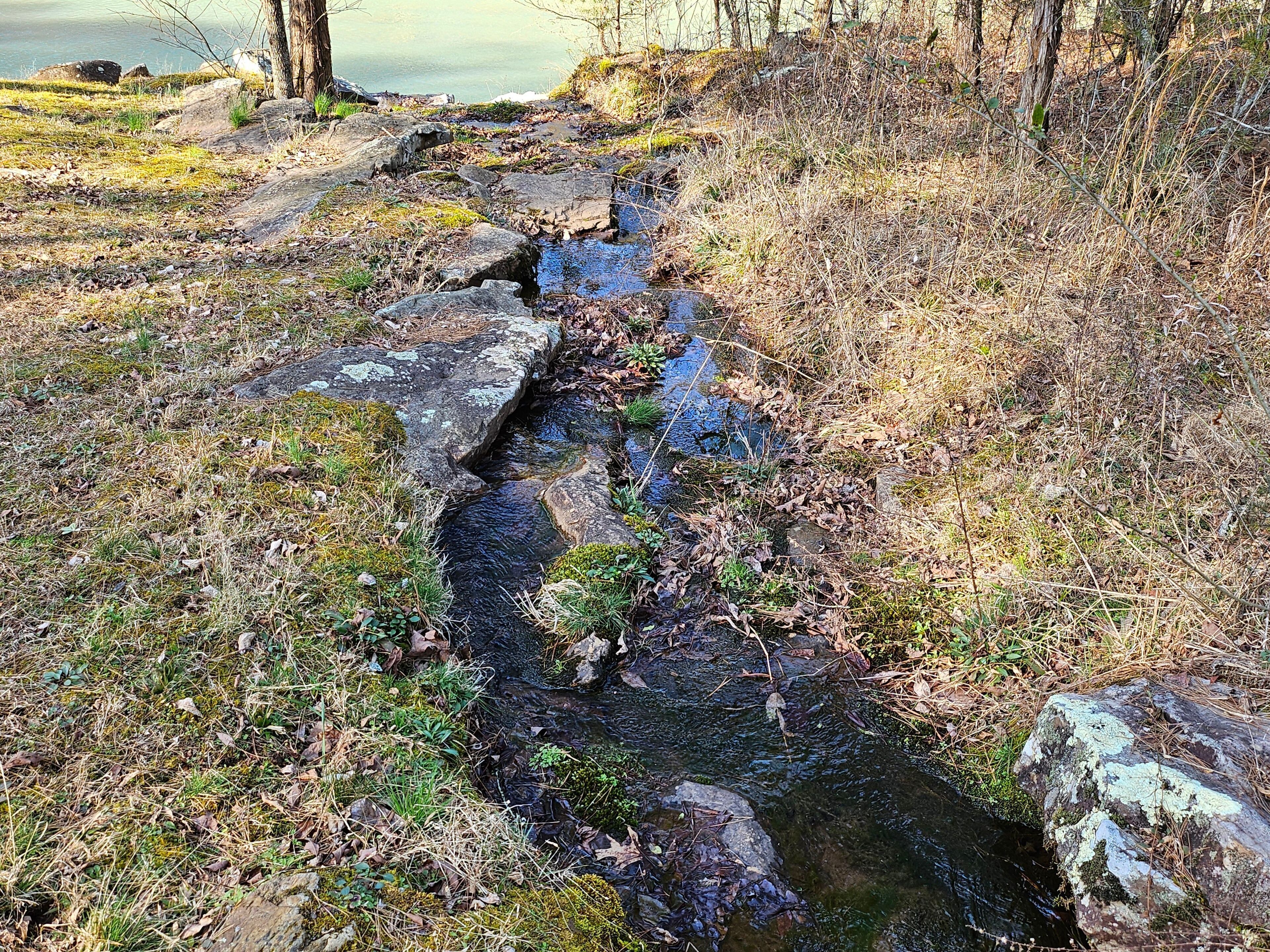 Un arroyo serpentea por un terreno rocoso con poca vegetación.