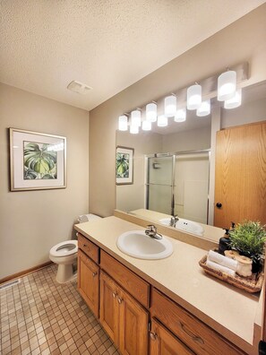 Hair dryer, towels, soap, toilet paper - Elite Game Room House: Pool Table & Indoor Putting (Minneapolis)