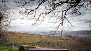 Una mesa de picnic de madera en un campo verde, con vistas a colinas ondulantes y un cielo nublado.