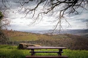 Outdoor dining - Panorama House, conubbio between panorama and peace (Lecchi in Chianti)