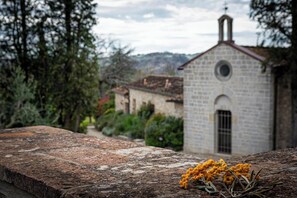 Property grounds - Panorama House, conubbio between panorama and peace (Lecchi in Chianti)