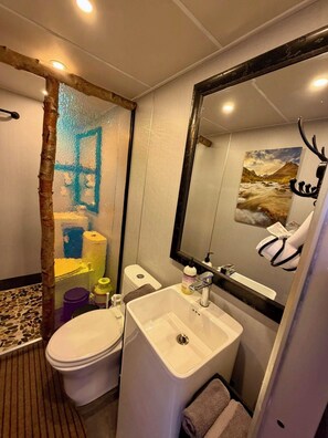 A bathroom with a toilet, sink, mirror, and a painting of a mountain landscape. - Aurora Igloo w/ Hot Tub & Firepit near town. (Fairbanks)