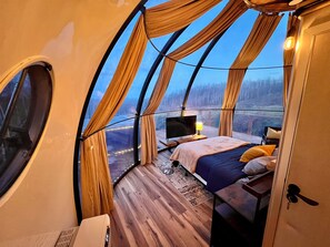 A cozy interior with a bed, a TV, and a window overlooking a forest. - Aurora Igloo w/ Hot Tub & Firepit near town. (Fairbanks)