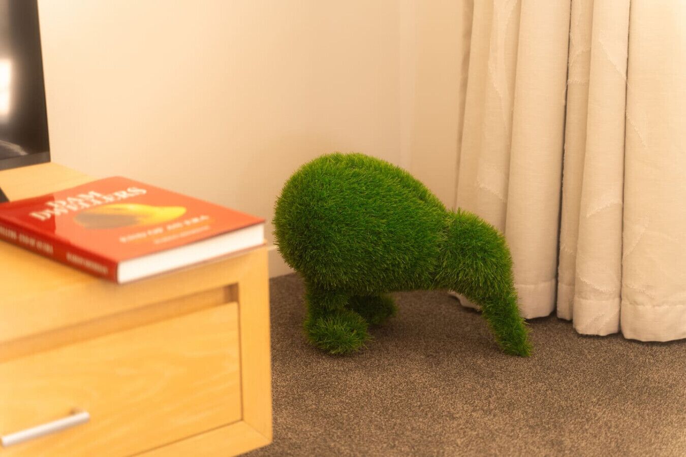 Ein kleines, grünes, grasähnliches Objekt in einem Raum mit einem Holzschrank und einem Buch darauf.