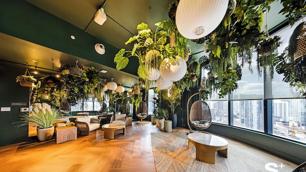 A modern interior with wooden flooring, multiple seating areas, hanging plants, and large windows offering a city view. - Chic Downtown Studio in Miami (Miami)