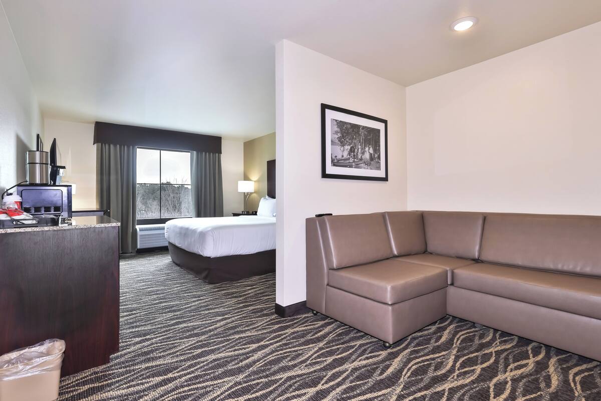 Habitación de hotel con cama, sofá, escritorio con computadora, televisor y un cuadro en la pared.