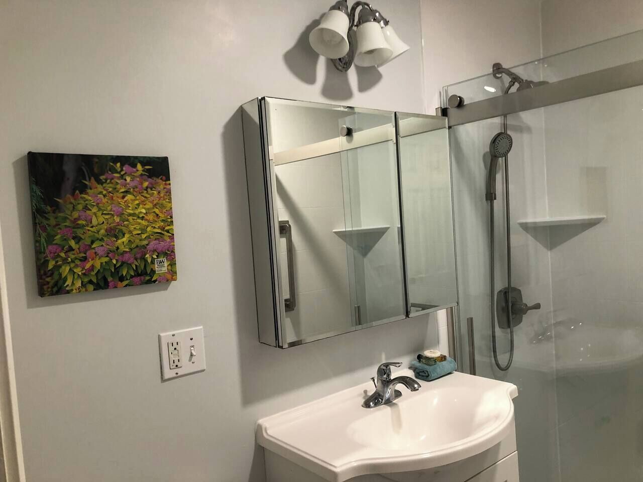 吹风机、毛巾、肥皂、卫生纸