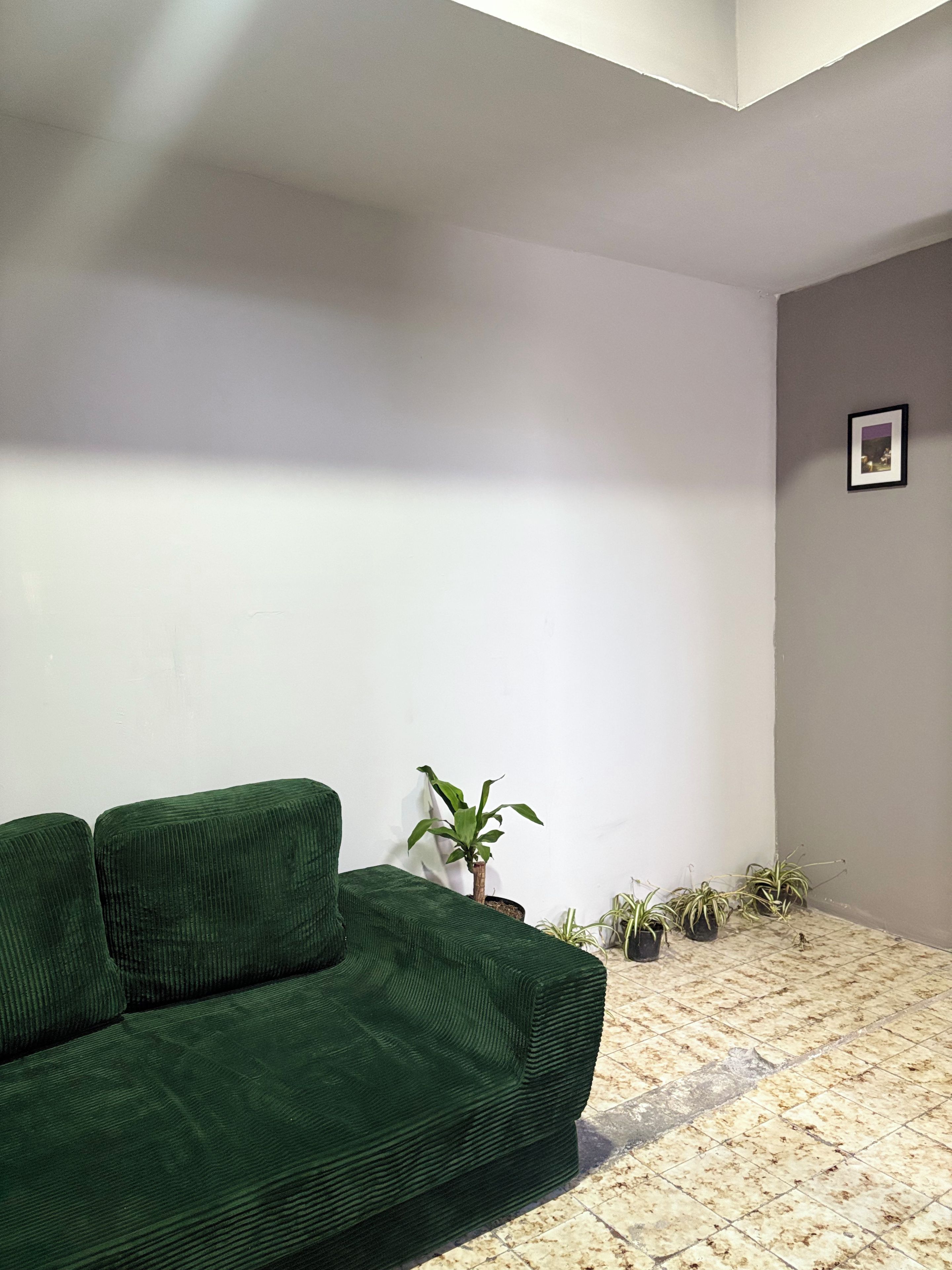 A room with a green sofa, a potted plant, and a framed picture on the wall.