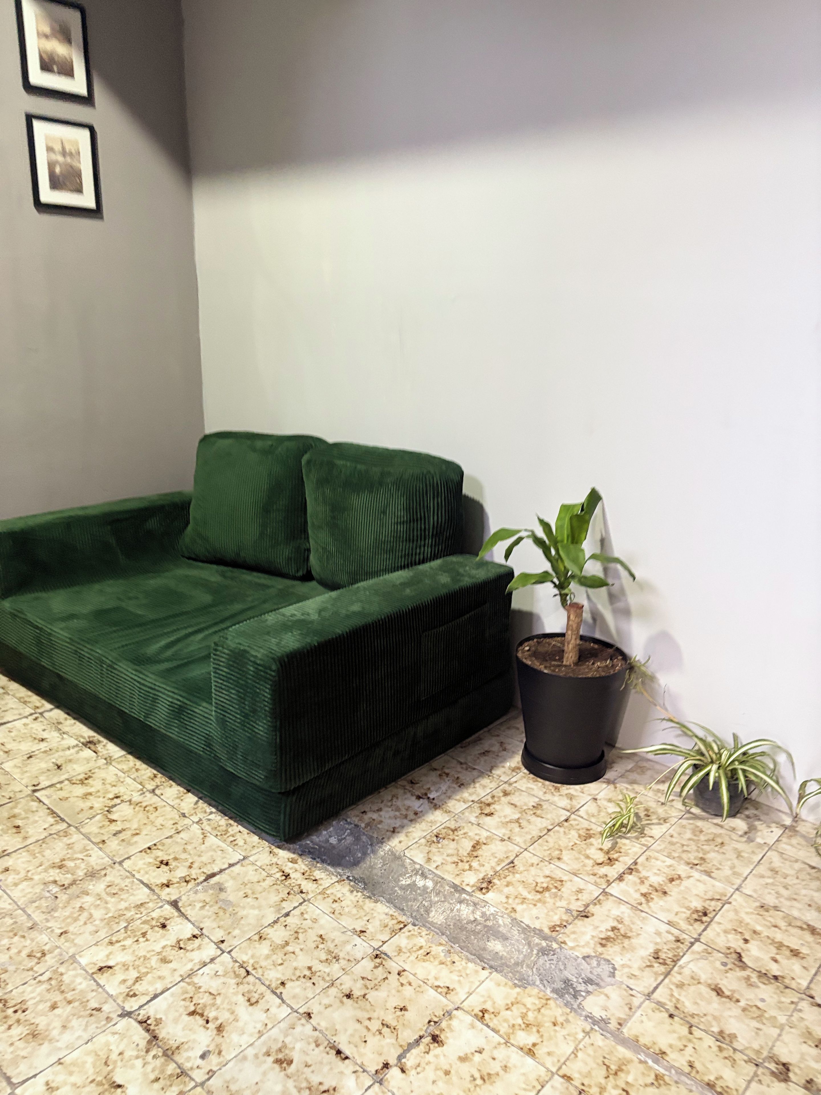 A green sofa against a white wall with a potted plant beside it.