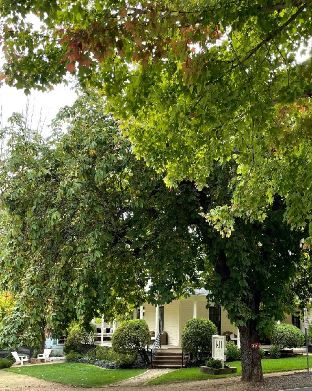 En bostadsfastighet med en välskött gräsmatta, ett stort träd som ger skugga och en veranda med trappsteg som leder till en dörr.