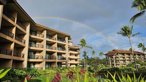 Unclassified image, 2 of 18, button