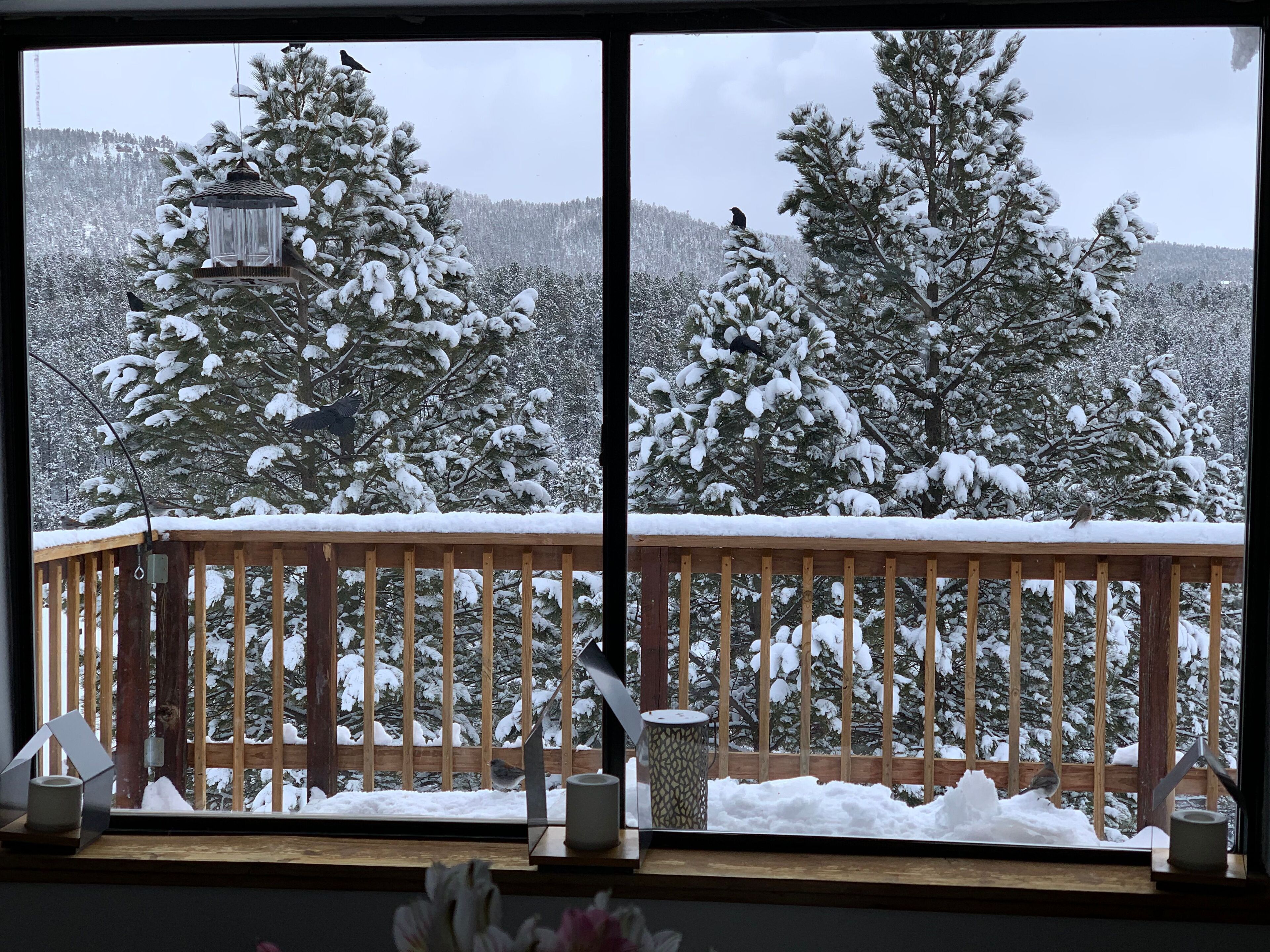 A wooden deck with a railing, a bird feeder, and a trash can.