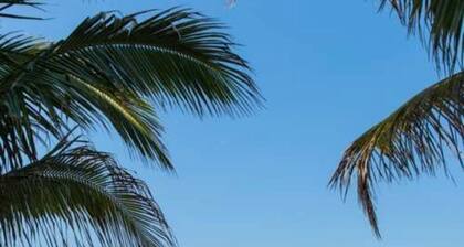 Luxury Beach Home • New Construction • Sleeps 13 • NEAR TO BOCA GRANDE