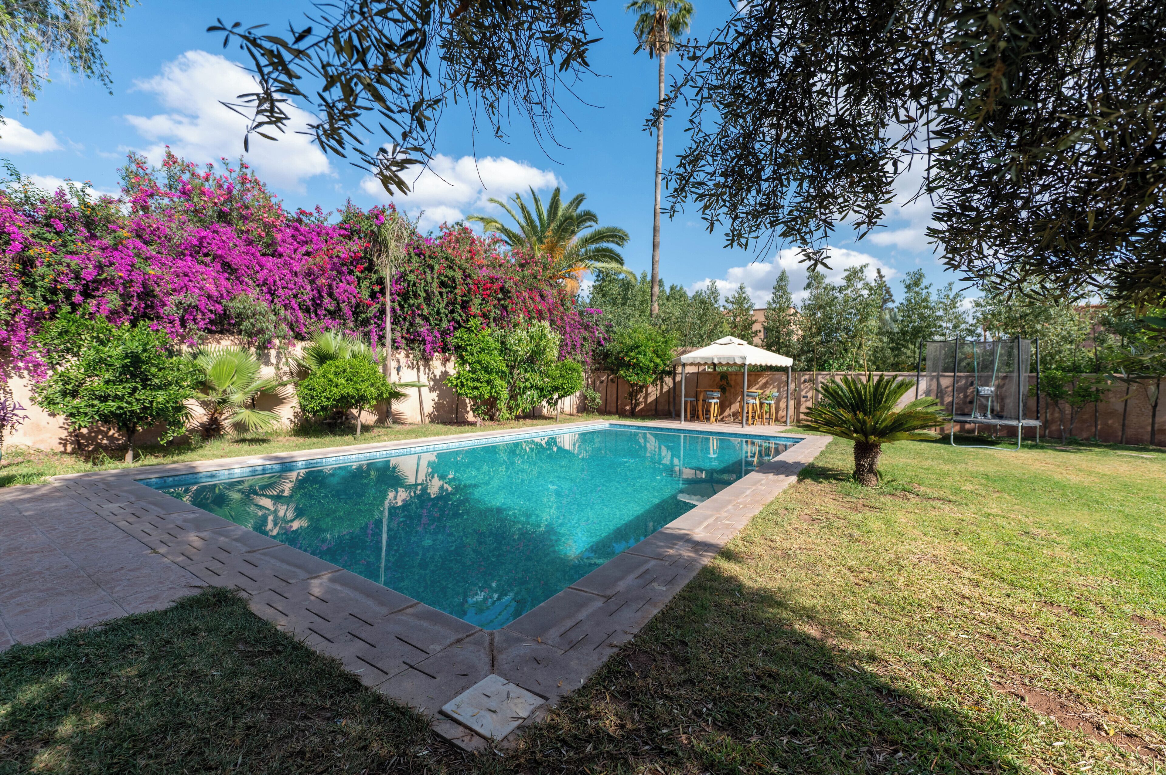 A swimming pool surrounded by lush greenery and flowering plants.
