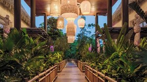 A wooden pathway flanked by tropical plants, leading to a covered area with hanging lanterns. - Luxury Vidanta Resort Escape - Pools, Lazy River Beach Access, family-friendly (Q.R.)