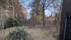 A garden with a stone pathway, a metal structure, and leafless trees. - Vacation home with large terrace in Schöneiche near Berlin (Schöneiche bei Berlin)