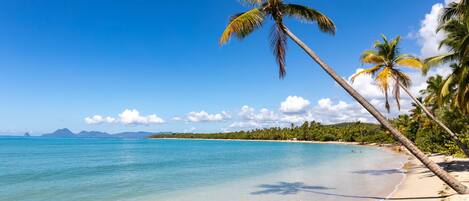 Sun-loungers, beach towels