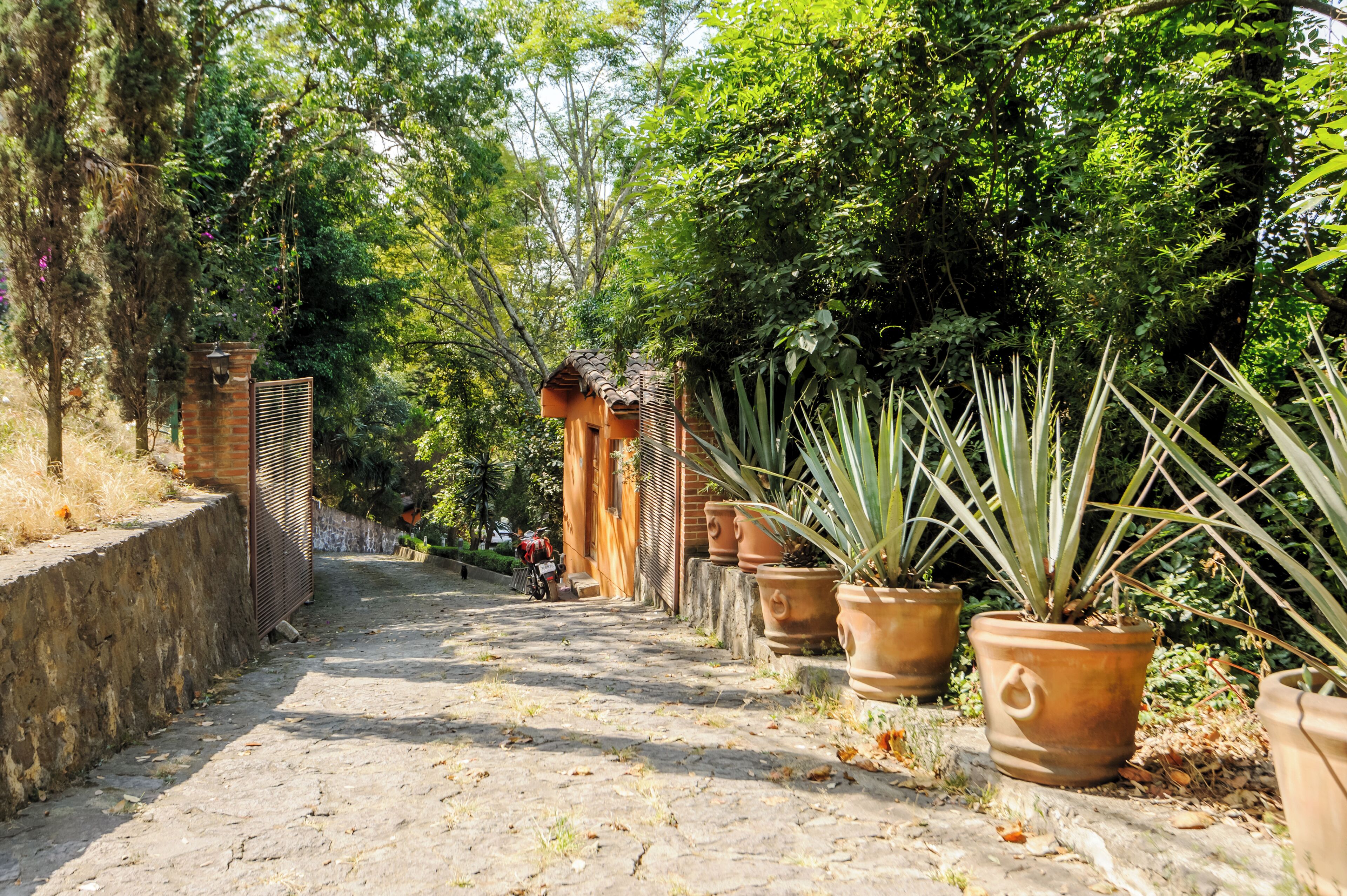 Casa, vista al jardín | Áreas de la propiedad