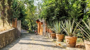 Casa, vista al jardín | Áreas de la propiedad