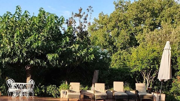 Ein Swimmingpool mit Liegestühlen und einem Tisch, umgeben von Bäumen.