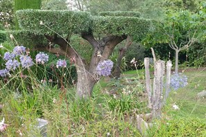 A garden with a large tree, various plants, and flowers. - Villa NAHEMA – Private Pool, 2 Minutes from Port Grimaud Gulf of Saint-Tropez (Grimaud)