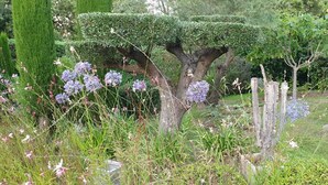 Ein Garten mit ordentlich geschnittenen Hecken, verschiedenen blühenden Pflanzen und einem rustikalen Zaun.
