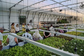 Nicht klassifiziertes Bild, 3 von 15, Schaltfläche