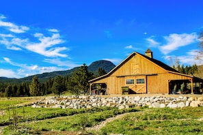 Nicht klassifiziertes Bild, 4 von 15, Schaltfläche