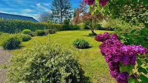 A well-maintained garden with various shrubs and flowering plants, a clear sky, and a distant tree.