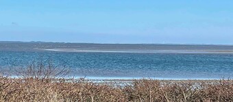 Seal safari oyster safari and water sports