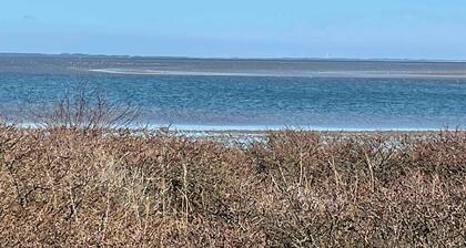 Seal safari oyster safari and water sports