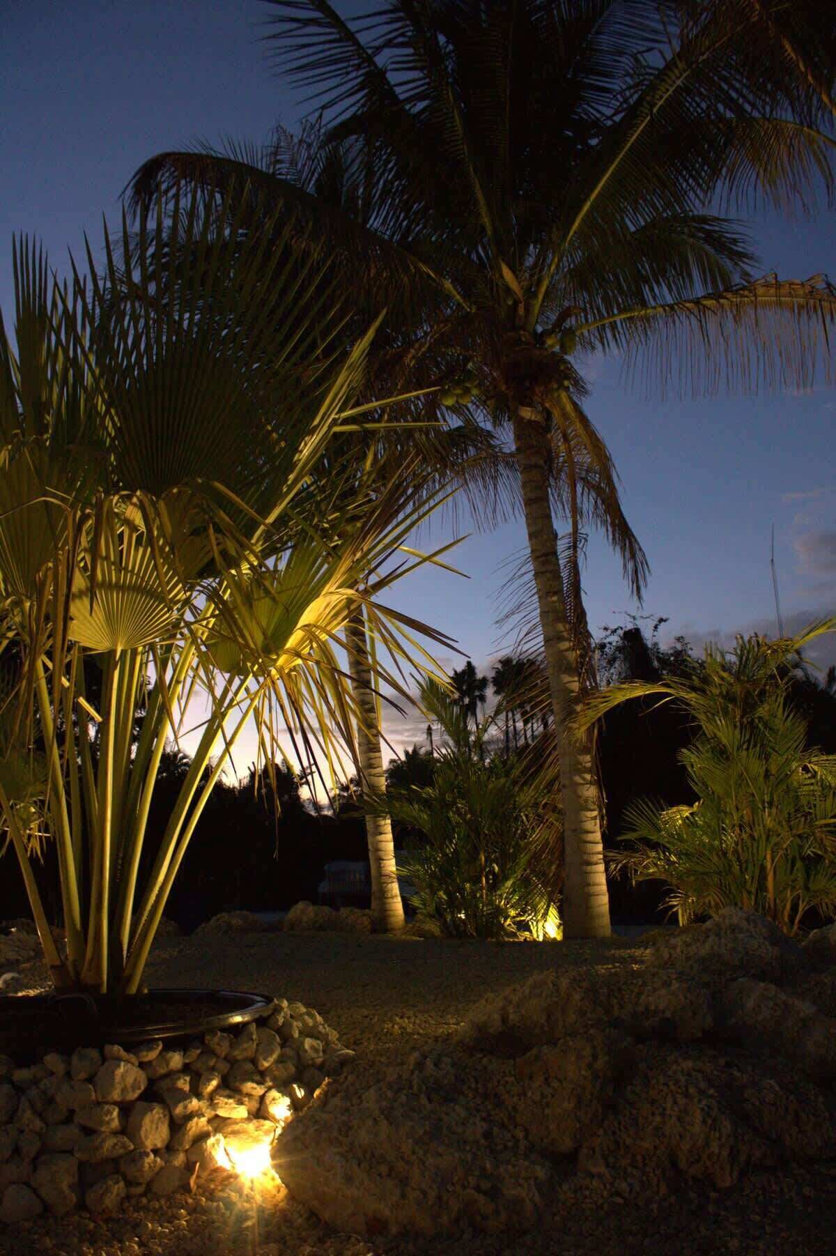 المنطقة المحيطة بالمنشأة