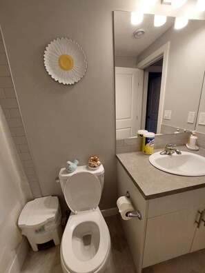 Unclassified image, 4 of 6, button - Self contained legal basement own entrance and private yard (Calgary)