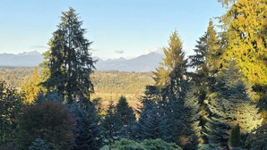 Um jardim com lago, cercado por árvores e vista para montanhas distantes.
