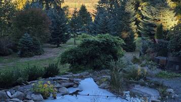 Terrain de l’hébergement