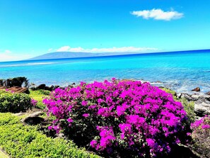 Imagem sem classificação, 2 de 12, botão