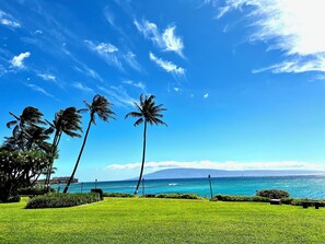 Imagem sem classificação, 4 de 12, botão