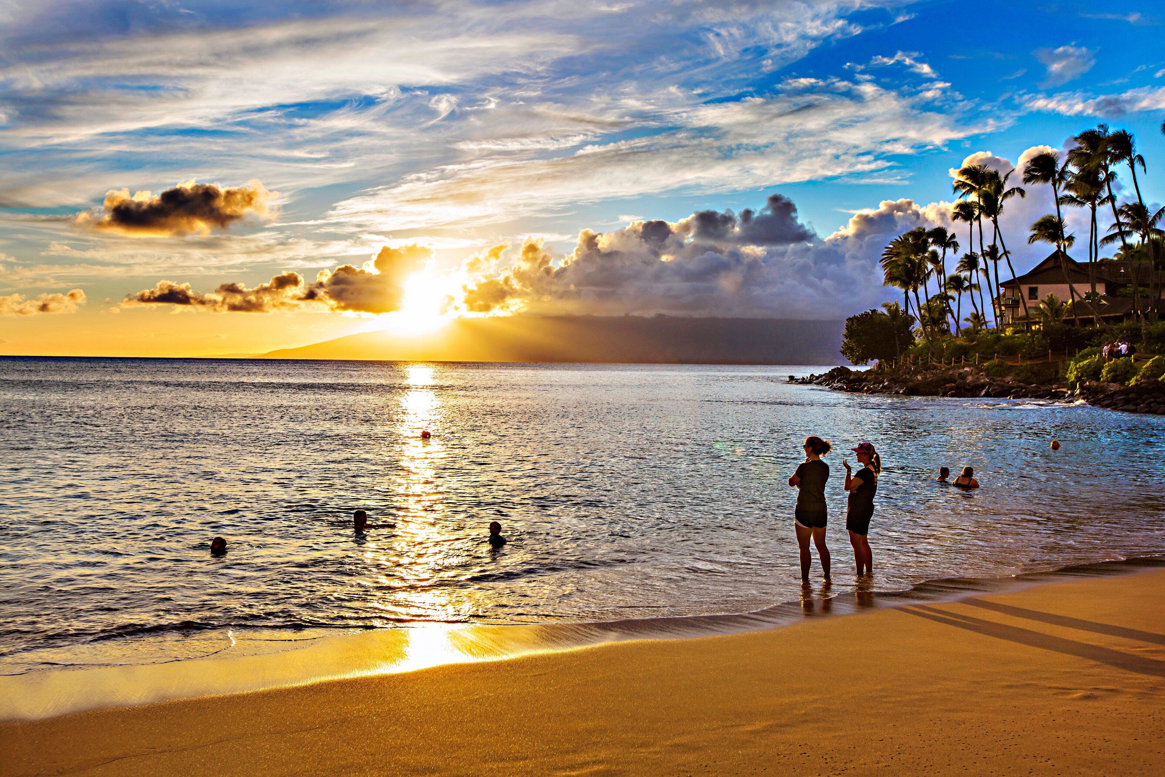 Escena de playa con atardecer, palmeras y gente en el agua.
