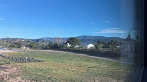 Nicht klassifiziertes Bild, 3 von 8, Schaltfläche