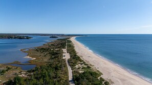 Vista aérea de uma área costeira com praia de areia, uma faixa estreita de vegetação e um corpo de água.