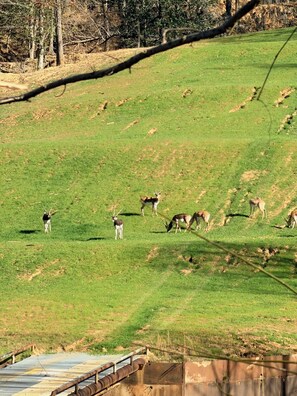 Botó d’imatge sense classificar, 4 de 9