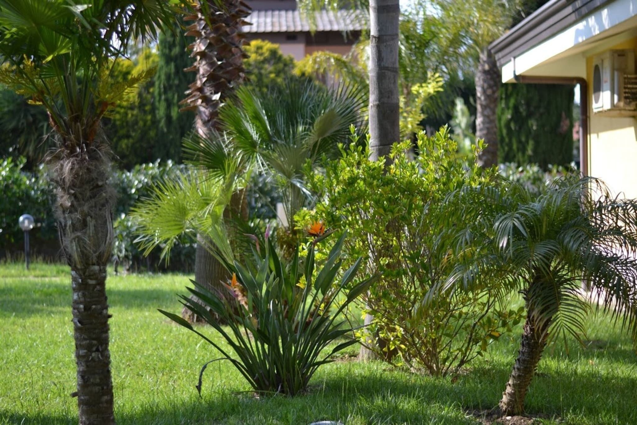 Parco della struttura