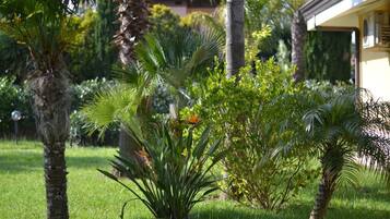 Parco della struttura