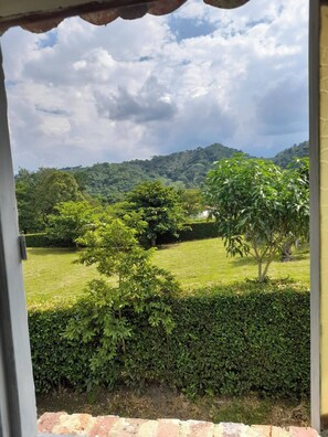 A view through a window of a lush garden with a hedge, a tree, and a grassy area. - Discover the Colonial Jewel in Villeta-cundinamarc (Villeta)