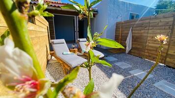 Terras