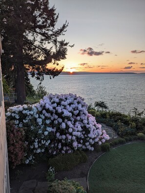 Botón de imagen sin clasificar, 4 de 9