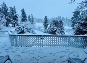 Property grounds - Mountain Retreat - Steps to Bear Mountain Ski Resort (Big Bear Lake)