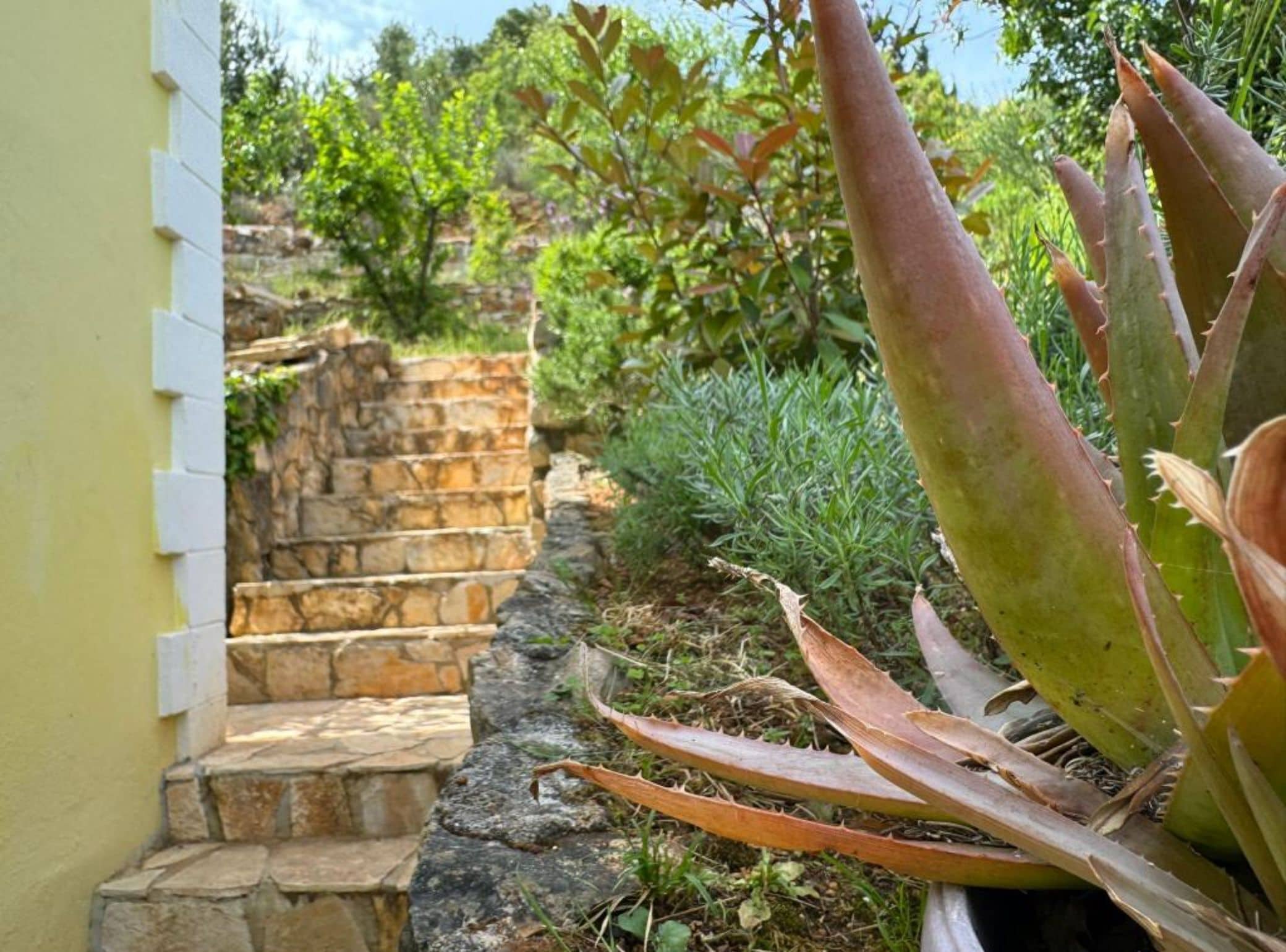 公寓 (Three Bedroom Apartment with Terrace) | 楼梯