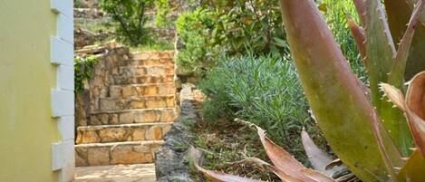 Căn hộ (Three Bedroom Apartment with Terrace) | Cầu thang