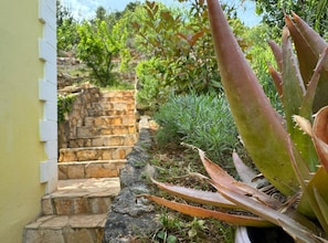 A stone staircase leading up to a garden area with various plants, including aloe vera. - Family Apartment Sofija (Preko)